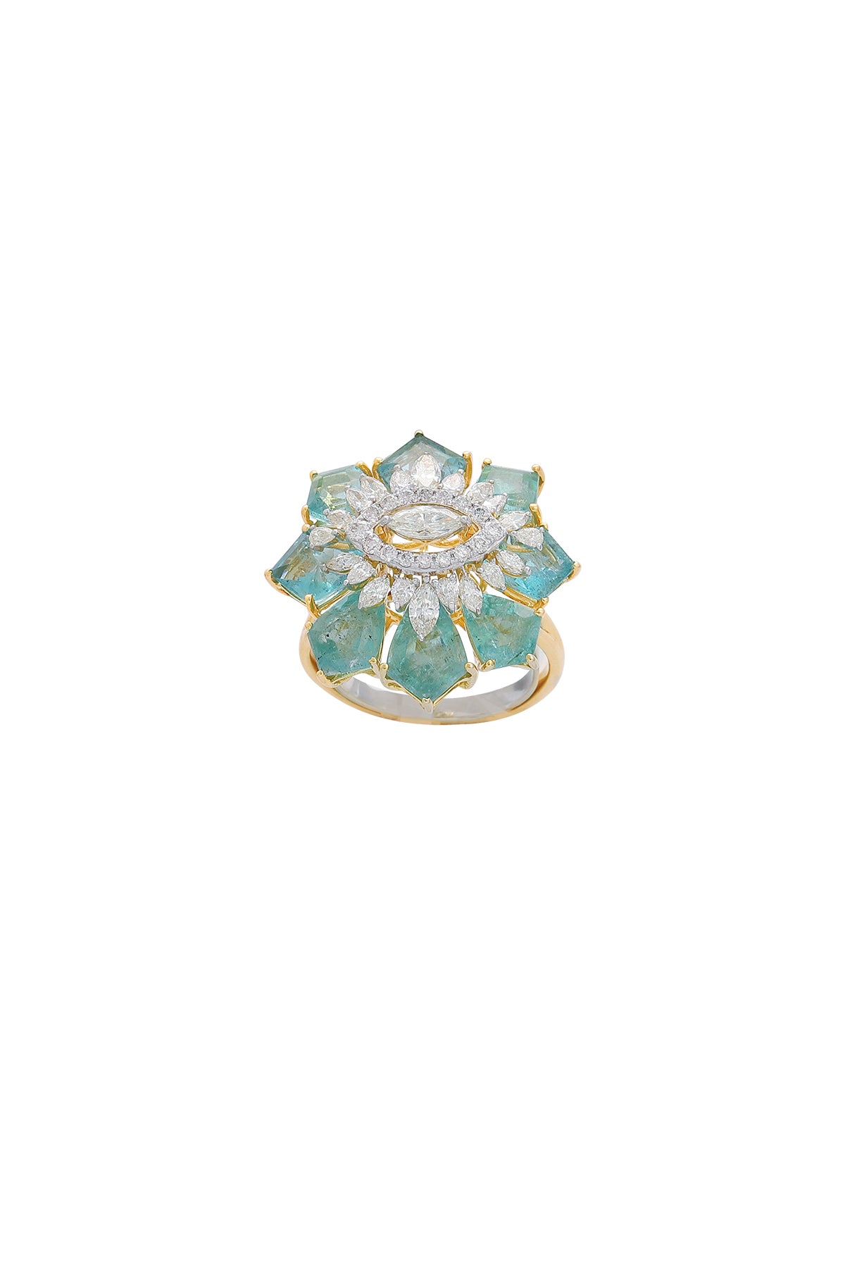 Petal of Light